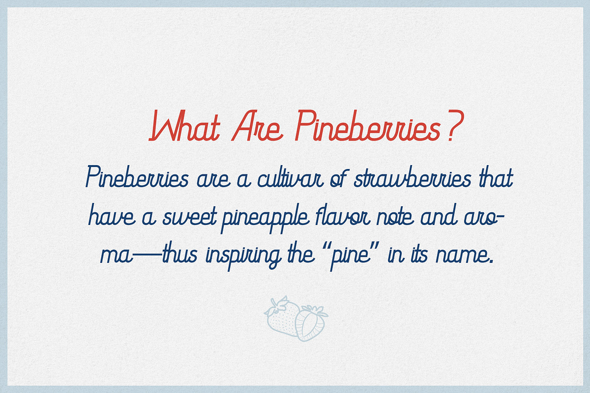 Pineberry - Script Typeface, a Script Font by HipFonts (Photo 7 of 7)