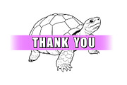 50 Turtles Procreate Stamps Brushes, a Brush Add-On by Procreate Sale (Thumbnail 6 of 6)
