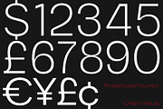 ChairoNeue, a Sans Serif Font by Propertype (Thumbnail 3 of 14)