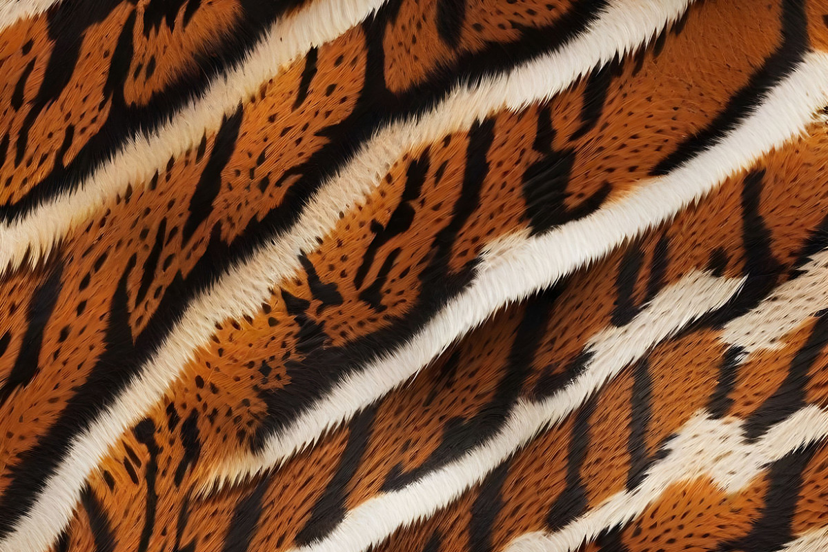 Safari Animals Skin Print Texture, a Graphic by UniqueMe (Photo 15 of 21)