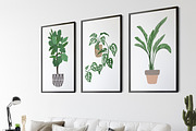 Indoor Plants, Vector Collection 2, an Object Graphic by JSolomatina (Thumbnail 3 of 6)