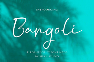 Bargoli Elegant Script Font