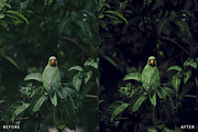 Dark Moody New Look Lightroom Preset, a Preset Add-On by AAA Presets (Thumbnail 4 of 21)