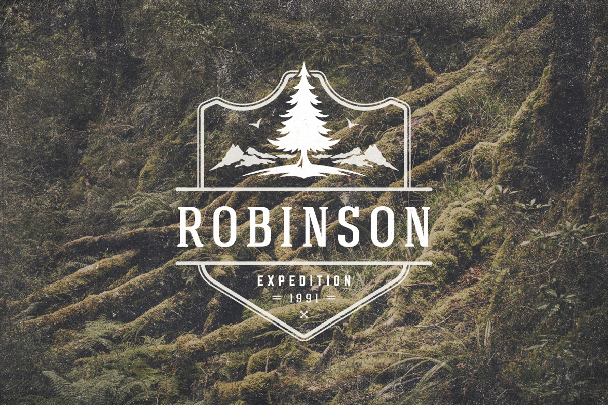 50 Outdoor logos and badges, a Branding & Logo Template by Vasya Kobelev (Photo 15 of 19)