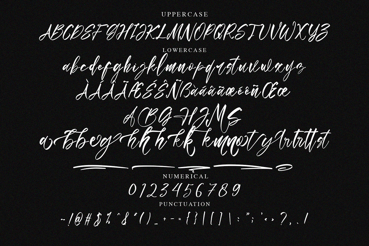Bellia Monika Elegant Script Font, a Script Font by NTC Graphic (Photo 7 of 8)