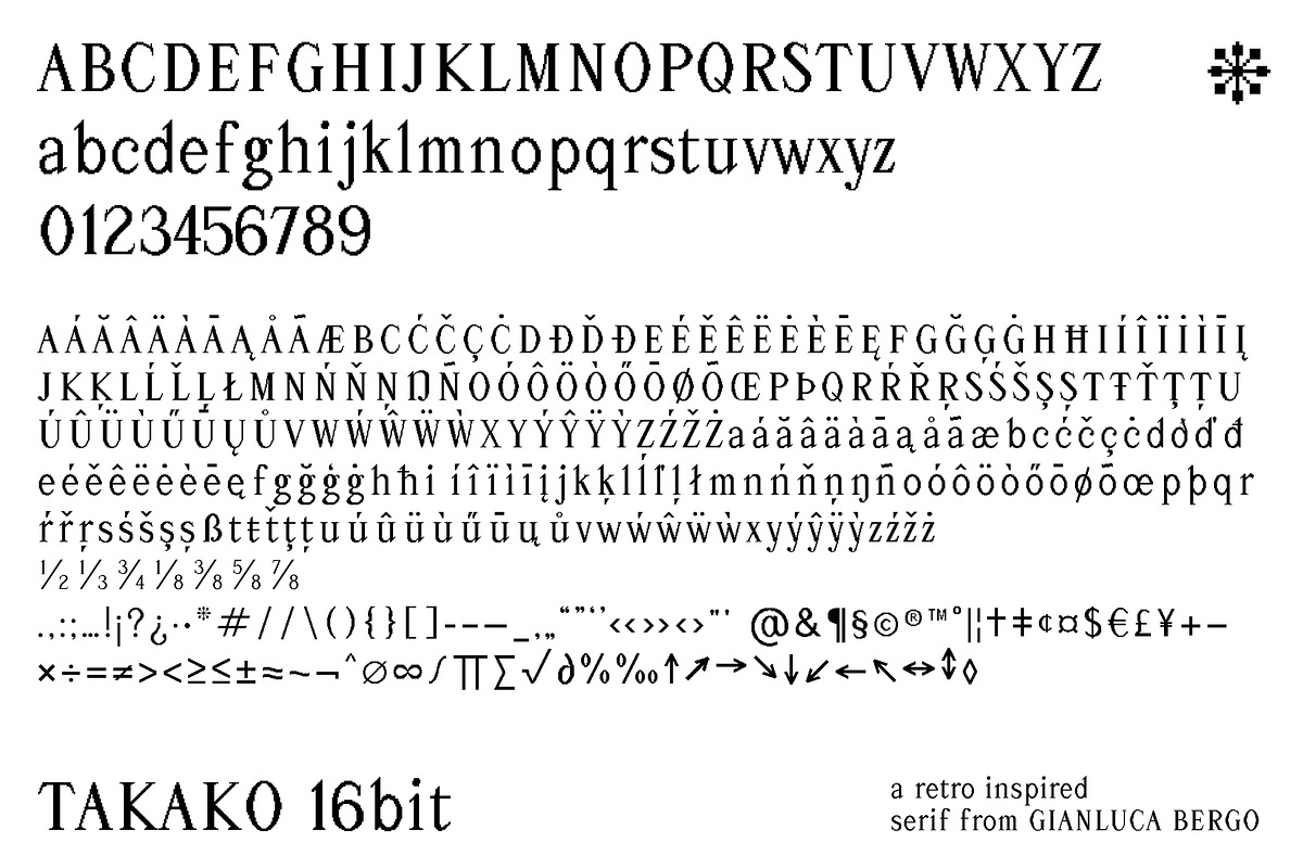 Takako bit - Pixel serif font family, a Serif Font by Gianluca_Bergo (Photo 11 of 11)