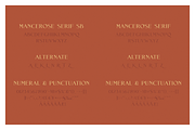 Mance Rose – Useful Pairing Fonts, a Script Font by RedyStudio (Thumbnail 9 of 10)