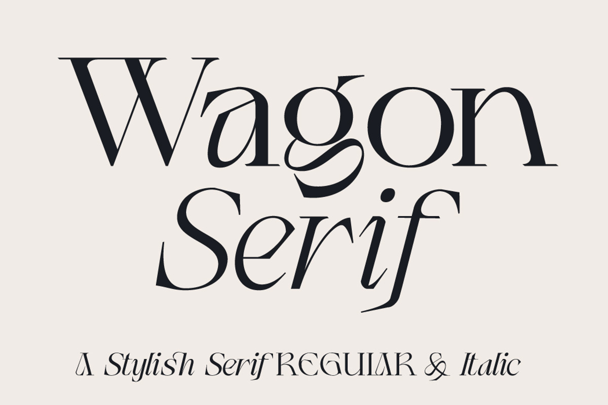 Wagon Display Serif+Italic, a Serif Font by Dirtyline Studio (Photo 1 of 20)