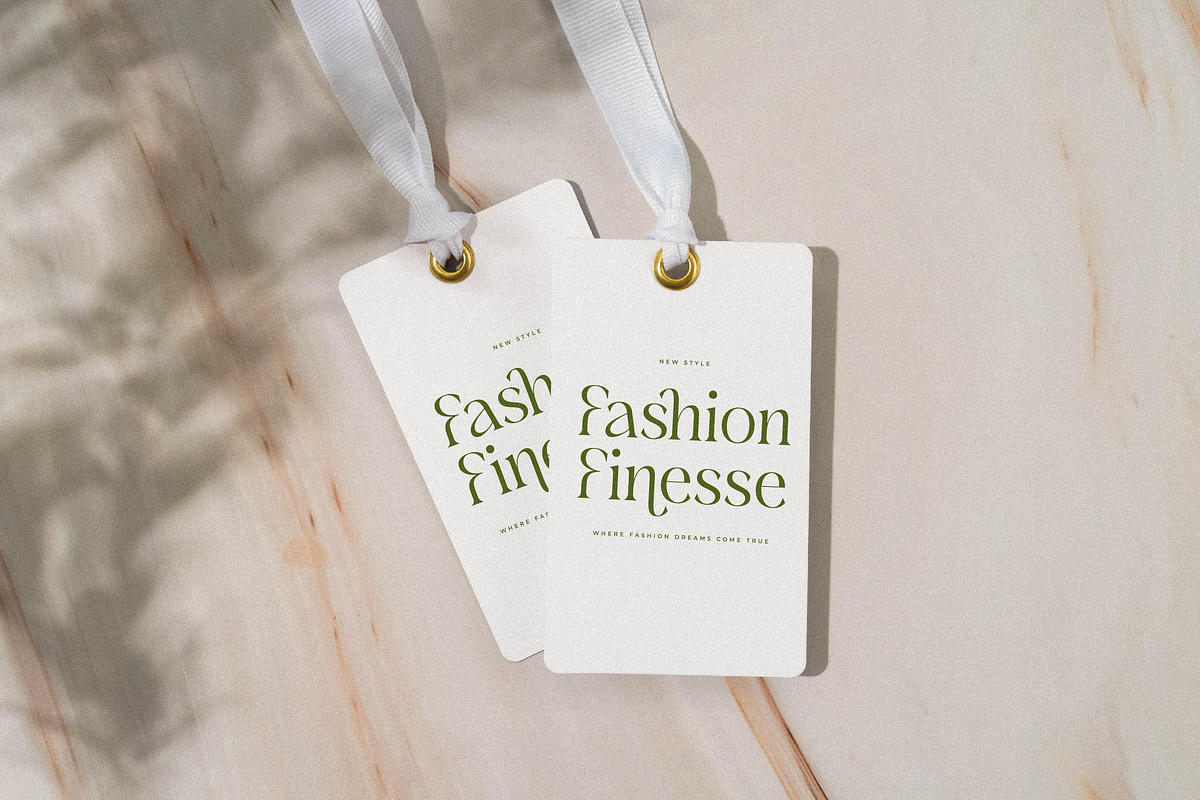 Blanvad Stylish Modern Serif, a Serif Font by Storytype Studio (Photo 6 of 15)