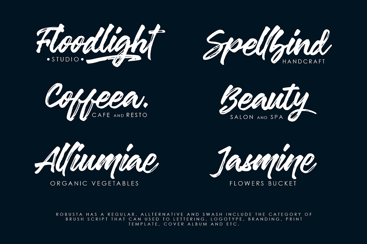 Robusta Script & Sans (UPDATED) preview 6