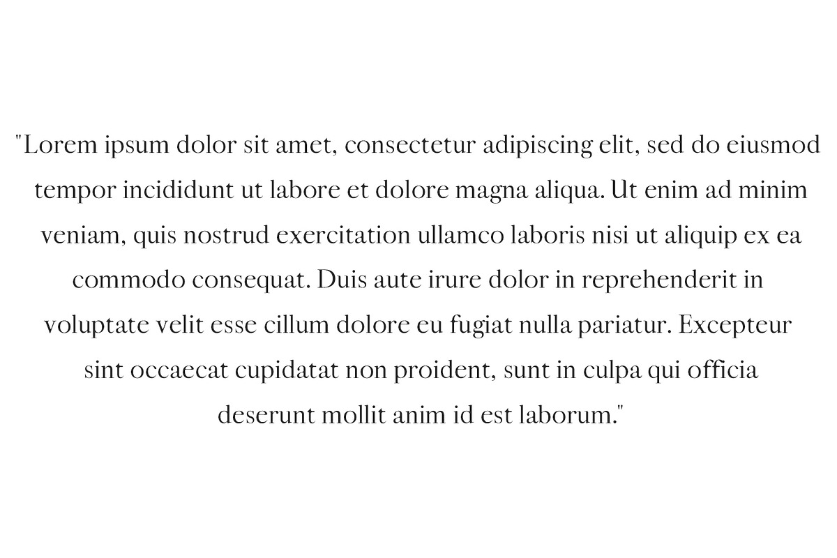Moisses Serif Font Family Pack preview 6