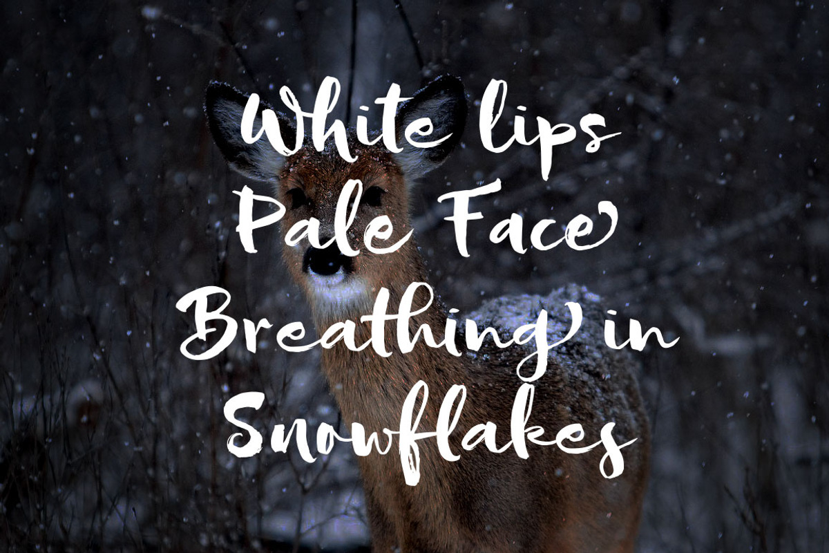 Sofie Script, a Script Font by JROH Creative (Photo 6 of 9)