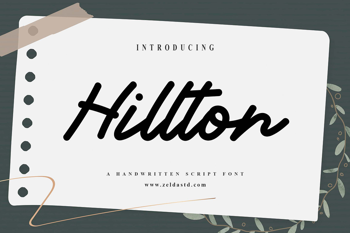 Hillton Script Font, a Script Font by Zelda Graphic (Photo 1 of 6)