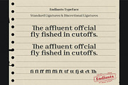 Endlants, a Serif Font by Drizy (Thumbnail 6 of 9)