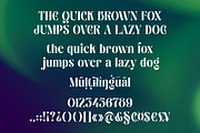Nathen - Elegant Serif Display Font, a Serif Font by Ekahermawan (Thumbnail 10 of 12)