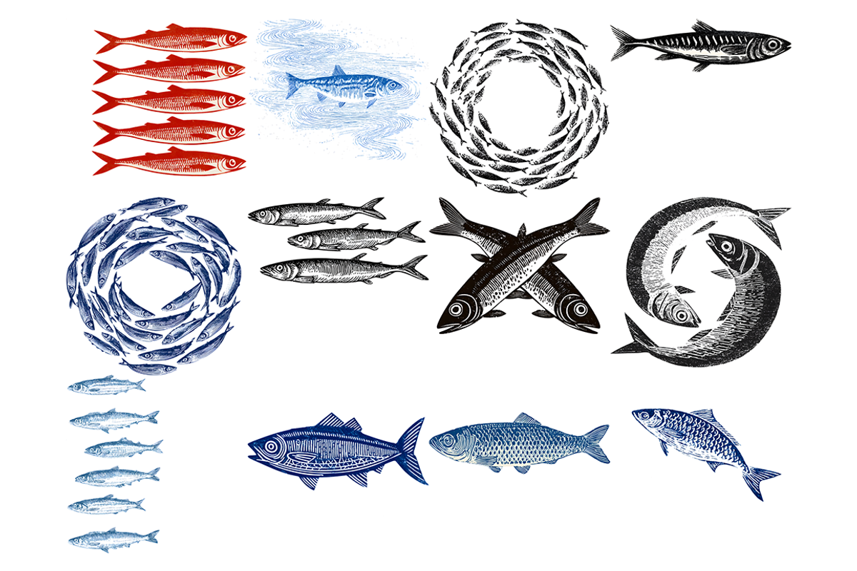 Sardines Clipart, a Decorative Illustration by stickermadness (Photo 2 of 4)