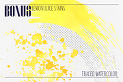 Vintage Lemon Engraving Collection, a Food Illustration by NATASHA CHU (Thumbnail 14 of 14)