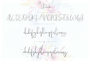 Wonderfull Font Collection, a Script Font by Chocotype Std (Thumbnail 7 of 51)