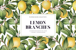 Lemon Branches. Watercolor PNG