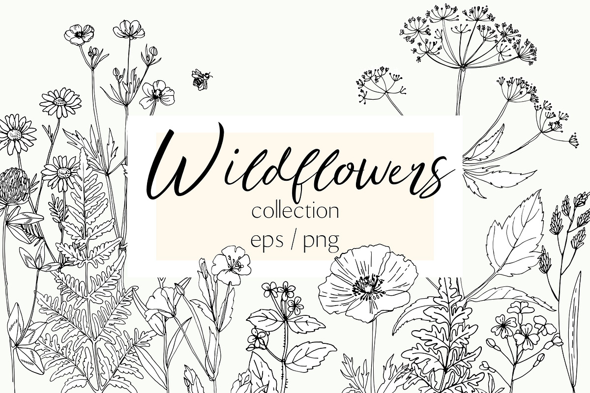 Wildflowers and herbs line sketch, a Decorative Illustration by irina.vaneeva (Photo 1 of 10)