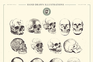 VECTOR SKULL HAND DRAWN BUNDLE 24