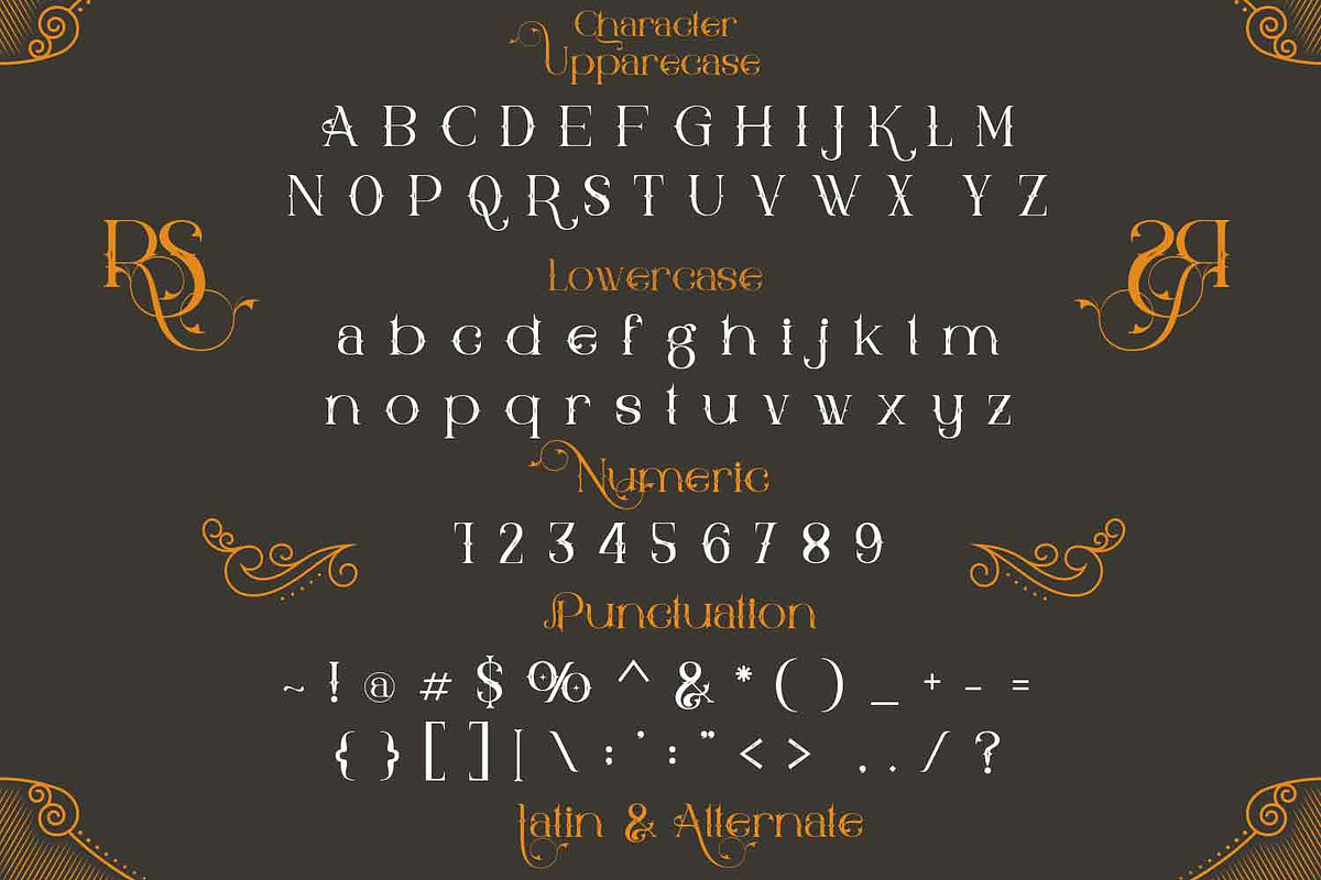 Rolls Sling, a Slab Serif Font by Bramcreative (Photo 8 of 10)