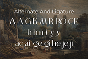 Mirage Against - Luxury Real Estate, a Serif Font by Sohel Studio (Thumbnail 12 of 12)