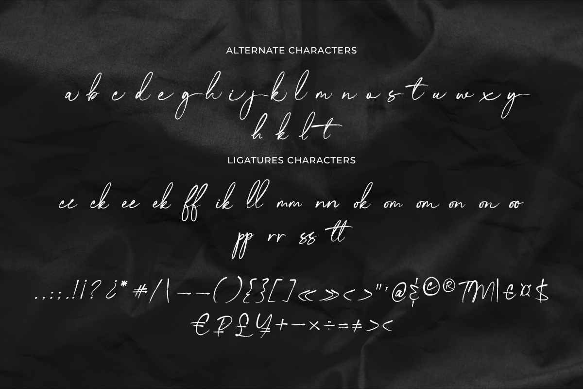 Charleston Handwriting Font, a Script Font by Silverdav (Photo 15 of 15)
