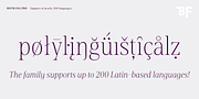 BF Rotwang Pro, a Serif Font by BrassFonts (Thumbnail 13 of 15)