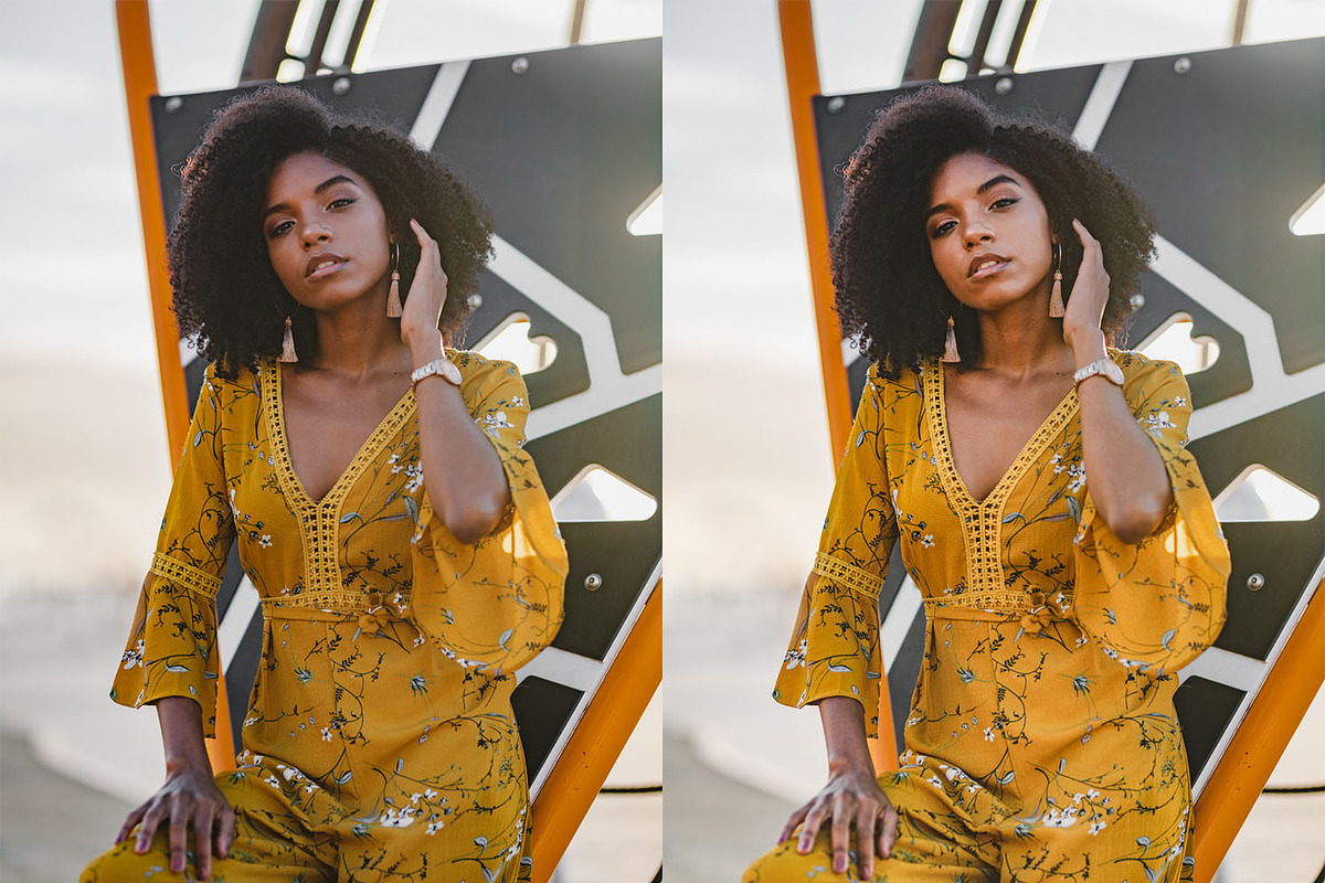 Andrea Portrait Presets preview 7