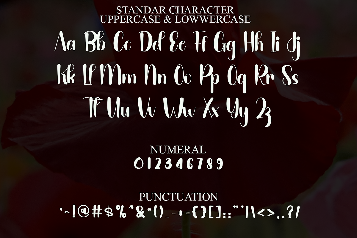 Simple Vacaion, a Script Font by FreshTypeINK (Photo 3 of 8)
