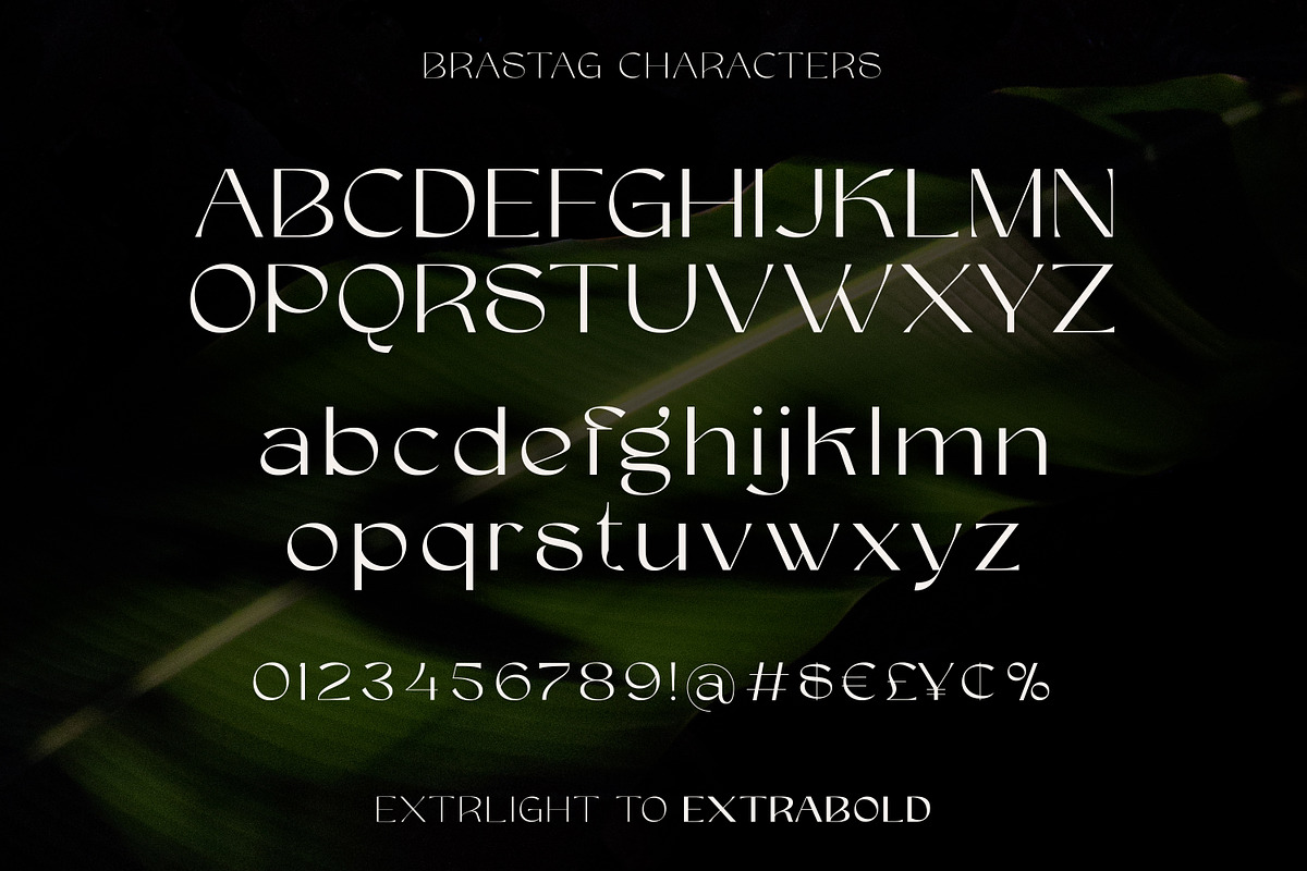 Brastag | Display Family Font, a Sans Serif Font by Ekahermawan (Photo 8 of 11)