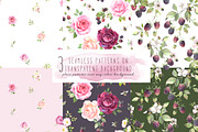 Watercolor rose and blackberry set, an Illustration by PS_patterns (Thumbnail 3 of 6)