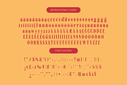 Bromtiz Elegant Vintage Serif, a Serif Font by timelesstype.co (Thumbnail 14 of 15)