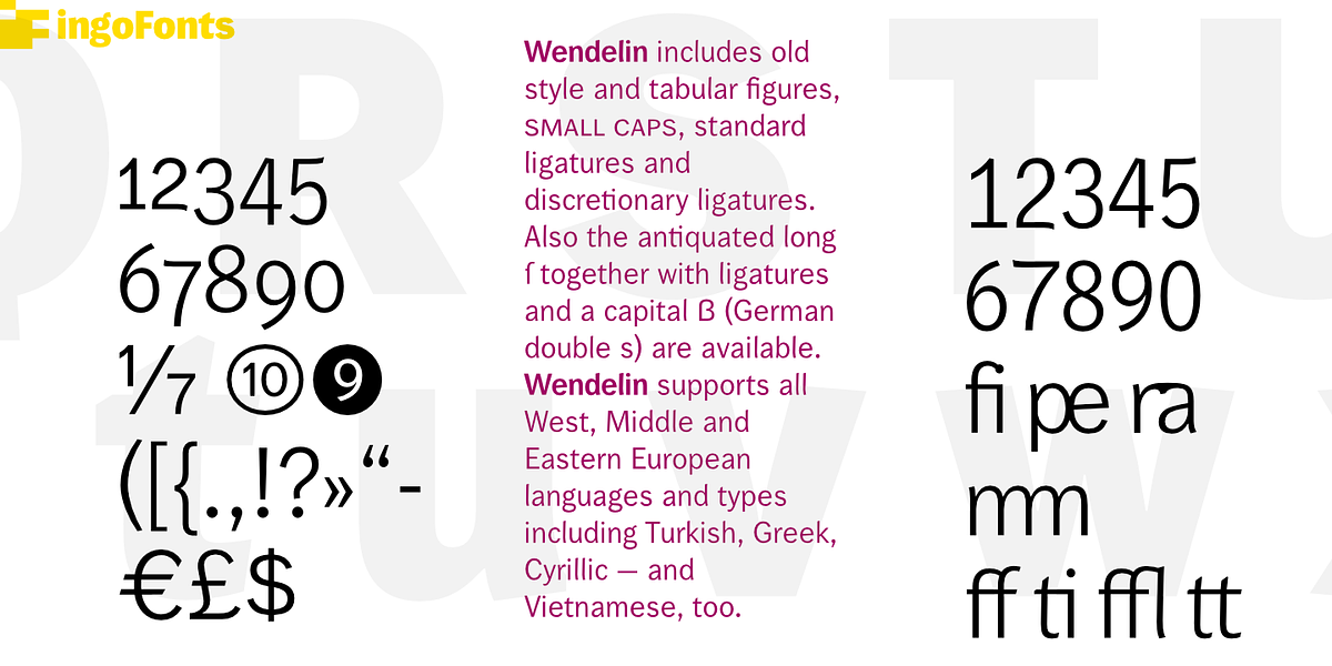 Wendelin Pro, a Sans Serif Font by ingoFonts (Photo 5 of 10)