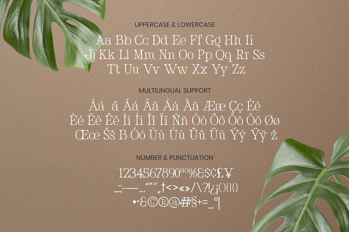 The Memories - Editorial Serif Font, a Serif Font by Imoodev (Photo 6 of 7)