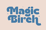 Theleo Blues Bold Retro Sans, a Serif Font by timelesstype.co (Thumbnail 13 of 20)