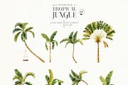 Tropical jungle - watercolor set, a Decorative Illustration by Pamyatka Shop (Thumbnail 16 of 27)