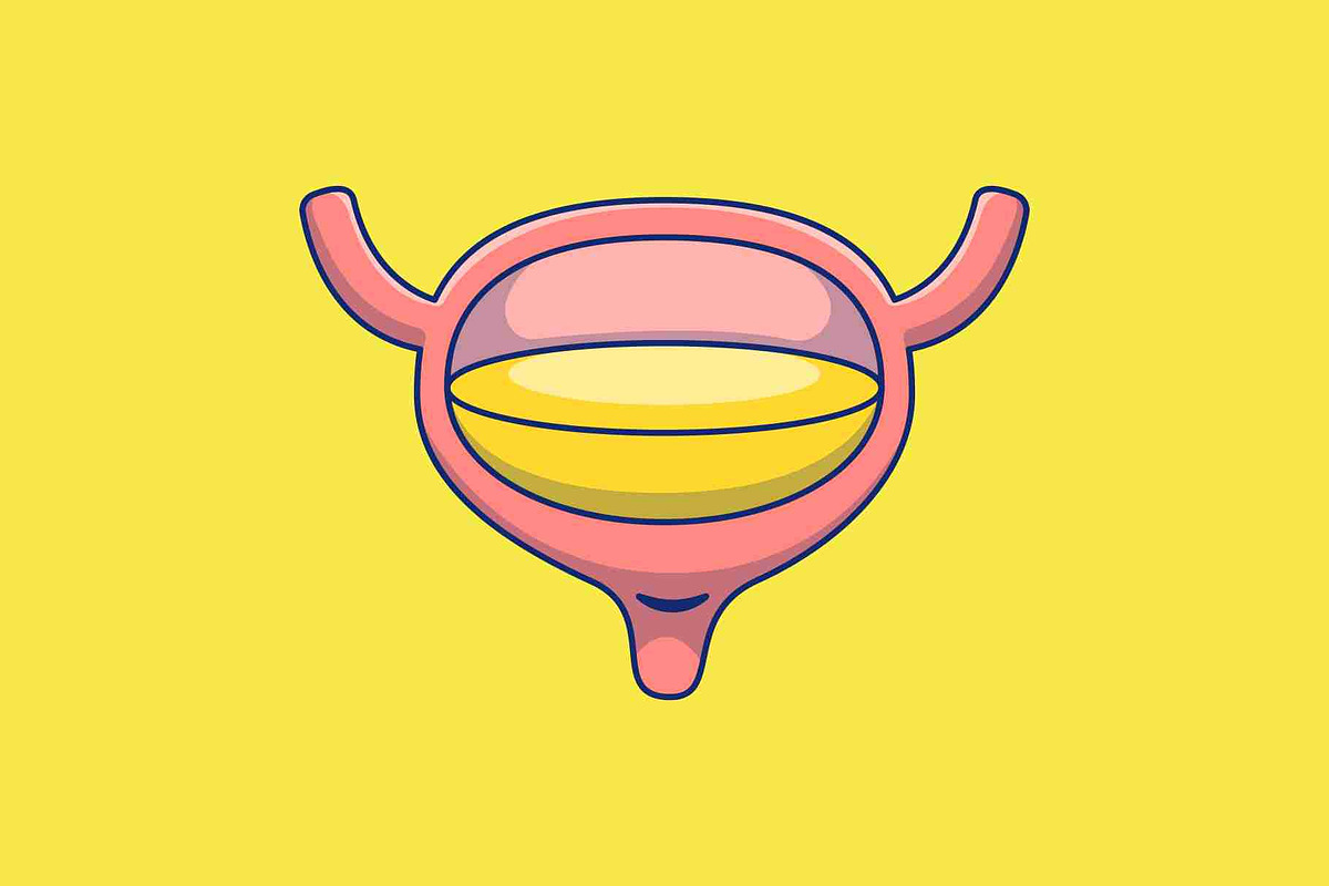 Human Body Internal Set Cartoon, a Person Illustration by Artstorystudio (Photo 2 of 13)