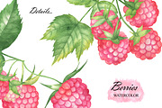 Wild Berry Watercolor Clipart, a Food Illustration by OlDm_Shop (Thumbnail 3 of 8)