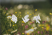 Plants: minimal house plants, a Decorative Illustration by Stacey Shaller (Thumbnail 3 of 7)