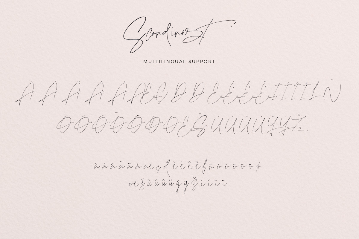 Scandinest - Signature With Ligature, a Script Font by Dirtytemp Studio (Photo 15 of 16)