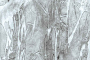 Abstract Leaf Print Papers, a Pattern Graphic by Liz Plummer (Thumbnail 5 of 5)