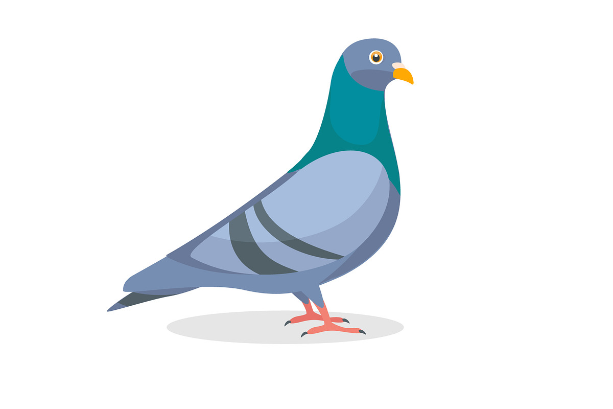 Collection of funny pigeon character, an Illustration by Viktorijareut (Photo 2 of 5)