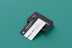 Clean Professional Business Card