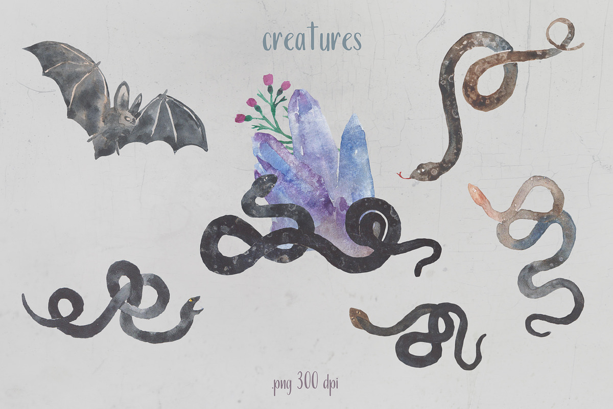 Watercolor Set | WITCHCRAFT, an Animal Illustration by Elisa Ursa (Photo 5 of 10)