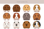 Teddy Guinea Pig set, an Animal Illustration by pet design shop (Thumbnail 3 of 4)