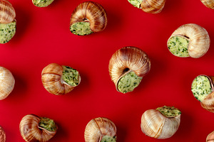 Gourmet escargot stuffed with garlic herb butter arranged on a v, a Food & Drink Photo by Ales Munt