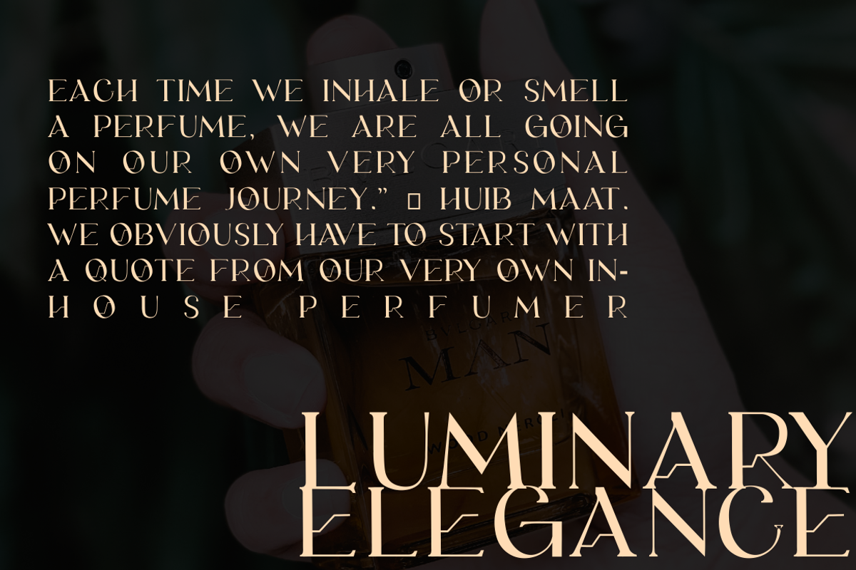 Garwoone Luxury Serif Font, a Serif Font by zerologicstudio (Photo 5 of 11)