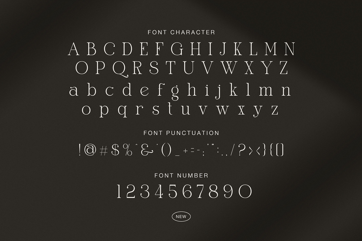 Gafien Elegant Modern Serif Font, a Serif Font by Graphicxell (Photo 7 of 8)
